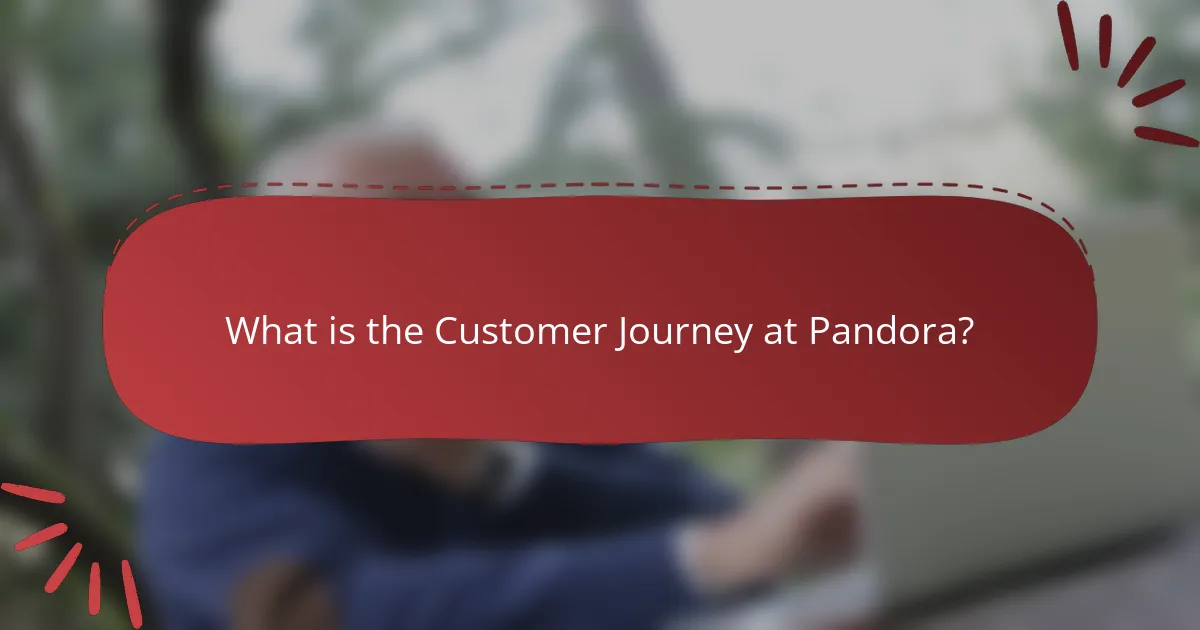 What is the Customer Journey at Pandora?